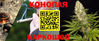 индика Рыбинск