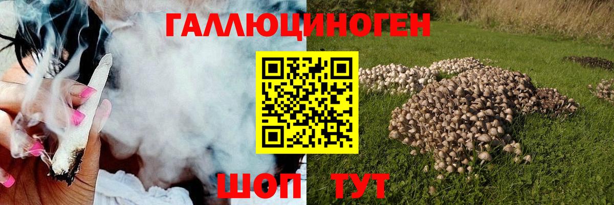 Псилоцибиновые грибы MAGIC MUSHROOMS Саров