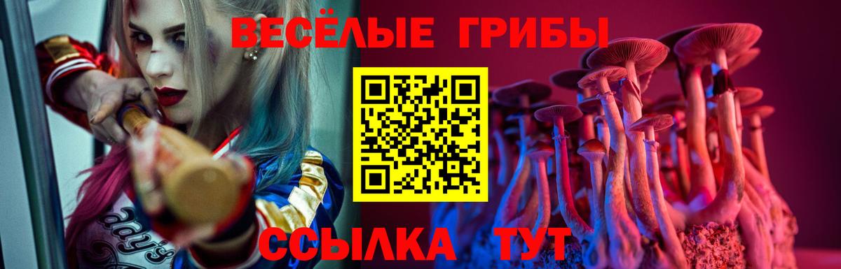 Галлюциногенные грибы мицелий  Вход с VPN  Саров 